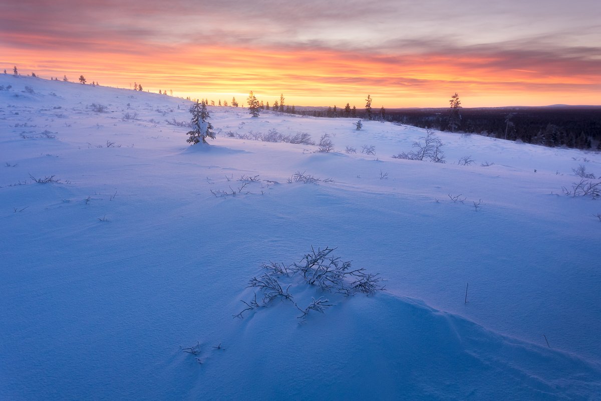 🏖️ 신마이코 해수욕장 (新舞子海水浴場) 이미지 8